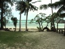 Palau-szigetek, a búvárparadicsom