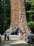 Yosemite Nemzeti Park - csodk Kaliforniban - 