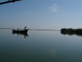 Duna-delta - az ismeretlen ismerős - 