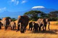 Kili-Kili - Kilimandzsáróóó! - 