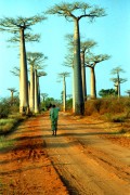 Madagaszkár, a lemurok földje - 
