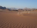 Wadi Rum - a hold vlgye   - 